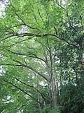 e0183106_14082647.jpg