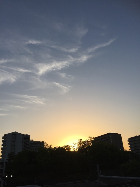 c0180209_00400600.jpeg