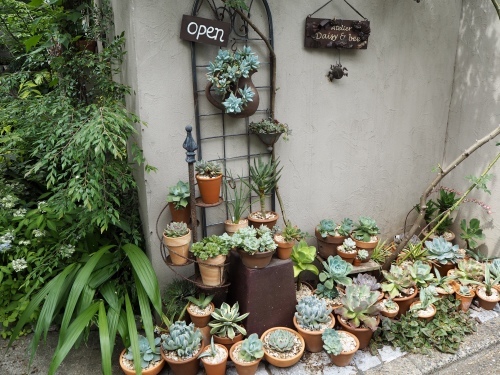 d0179410_20022667.jpeg