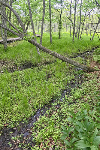 c0148812_20361148.jpg