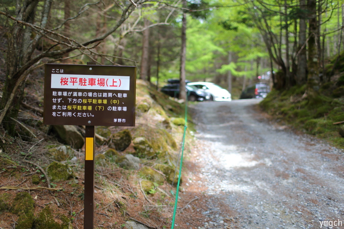 天狗岳の最高点にちゃんと立つ（５）_f0157812_10082186.jpg