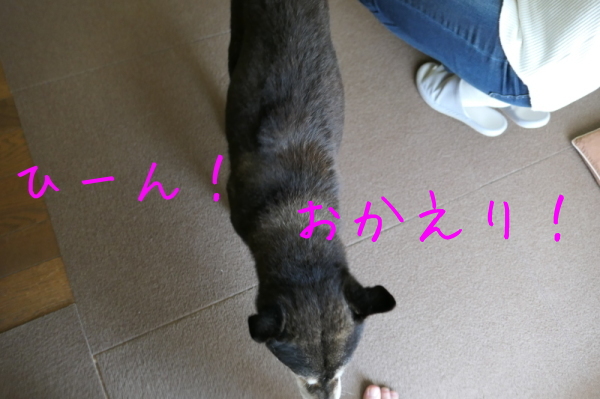 f0369014_17042500.jpg