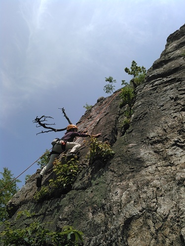c0359615_18300027.jpg