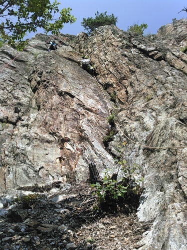 c0359615_18333043.jpg