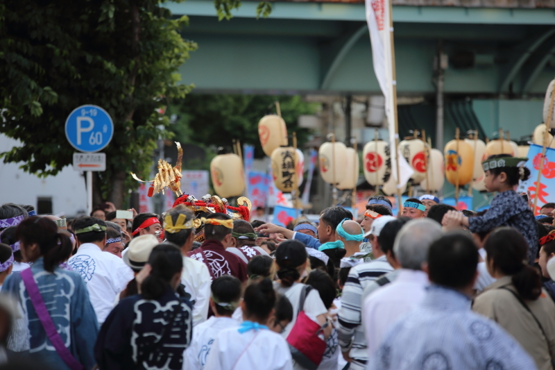 ザ・宮入り道中　　素盞雄神社 1_b0224616_18203771.jpg