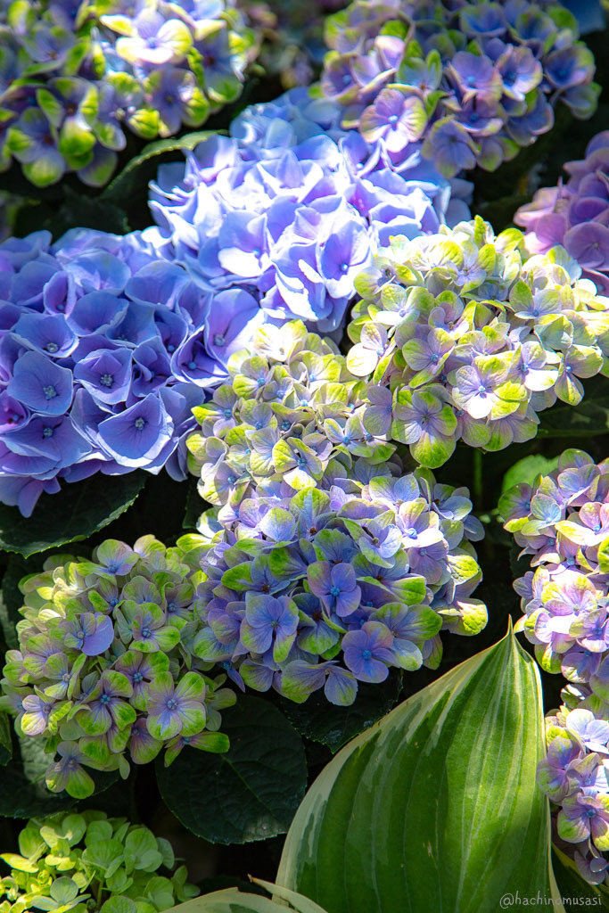 f0249918_12364307.jpg
