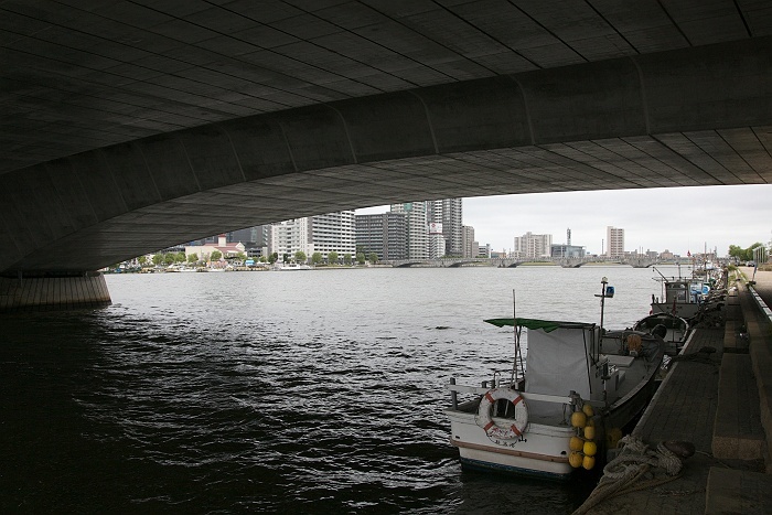 橋の下から_b0128621_19542272.jpg