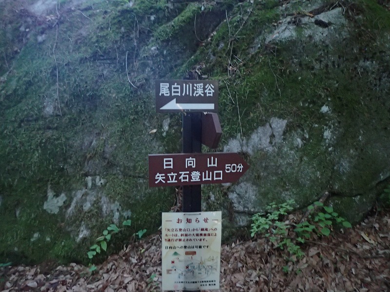 e0284726_10321718.jpg