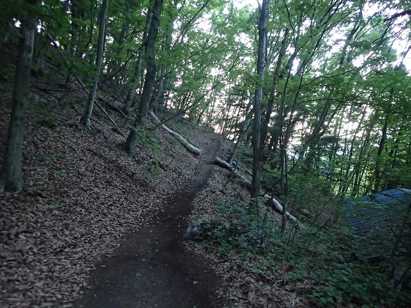 e0284726_10322583.jpg