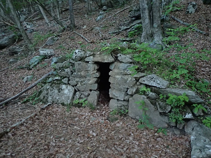 e0284726_1032417.jpg