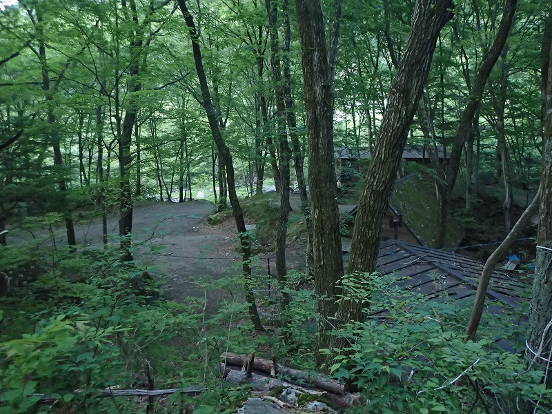 e0284726_1032730.jpg