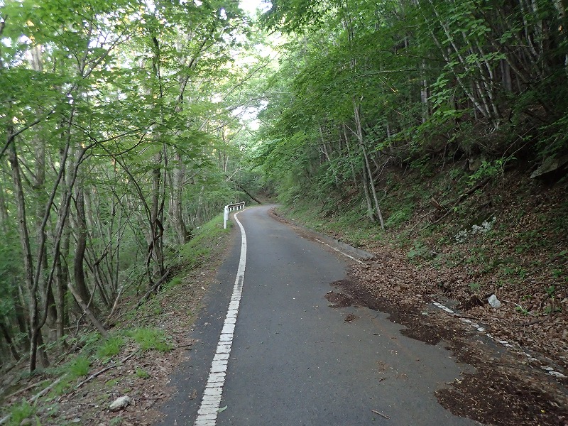 e0284726_1033138.jpg