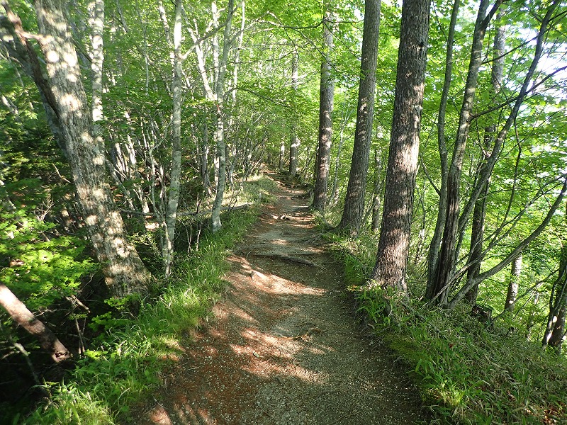 e0284726_10331890.jpg