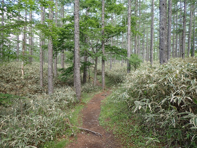 e0284726_10335336.jpg