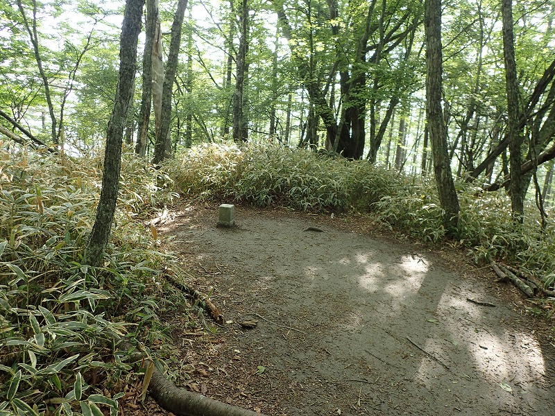 e0284726_10341961.jpg