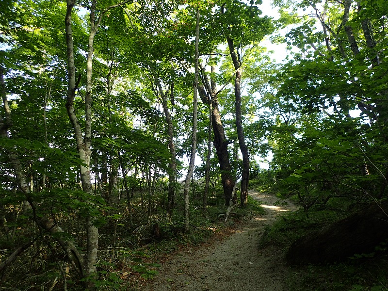 e0284726_10343396.jpg