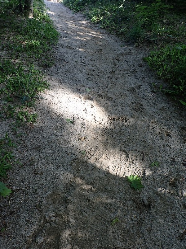 e0284726_10344037.jpg