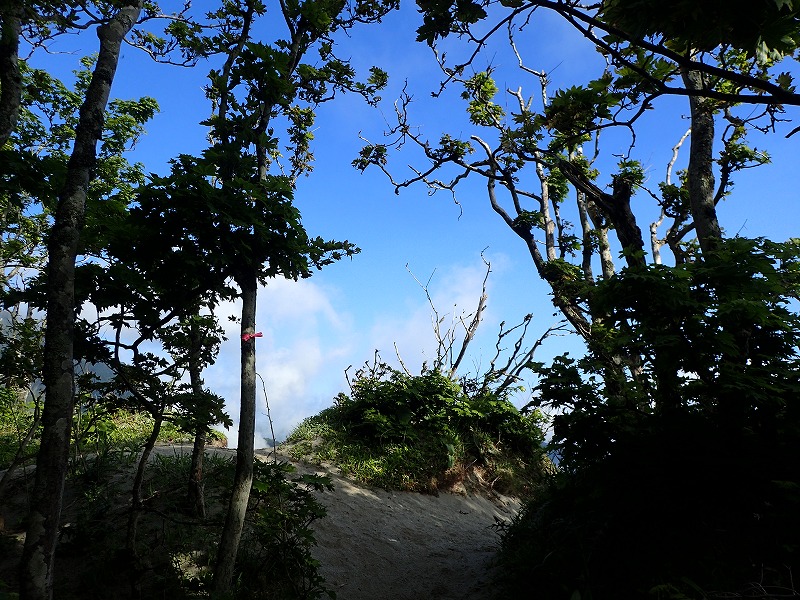 e0284726_10373758.jpg