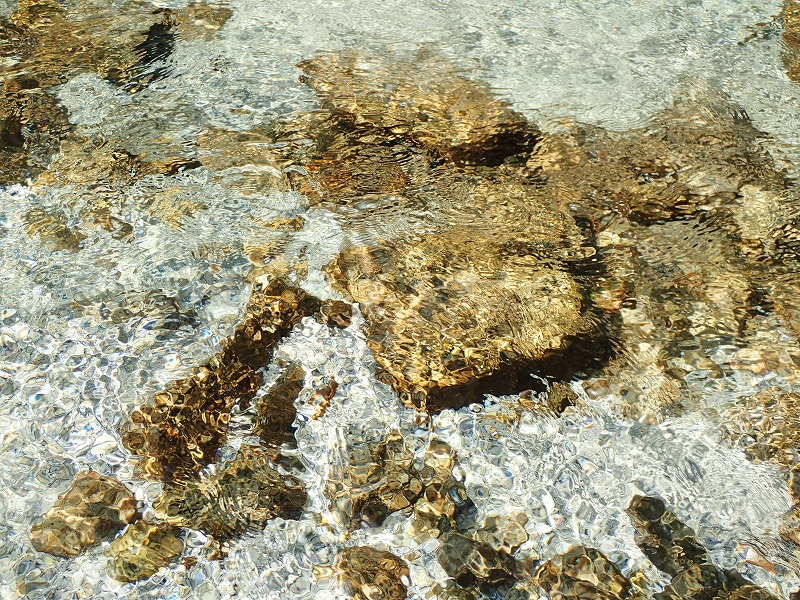 e0284726_1041085.jpg