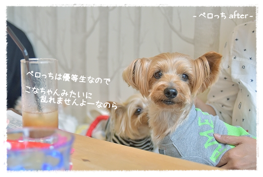d0179828_17265122.png