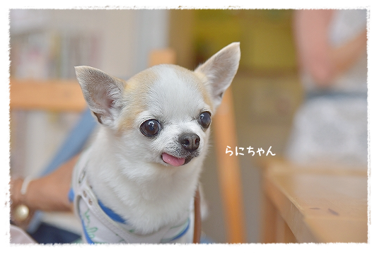 d0179828_17350093.png