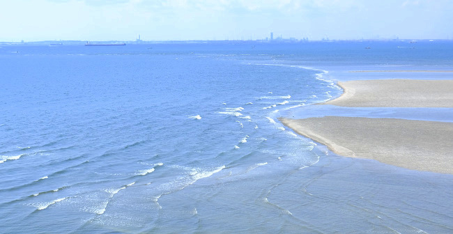 初夏の南房総ツアー 富津海岸潮干狩り 富津岬 じぶん日記 初夏の南房総ツアー 富津海岸潮干狩り 富津岬 じぶん日記