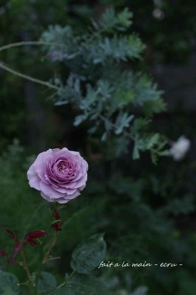 c0093830_00452760.jpg