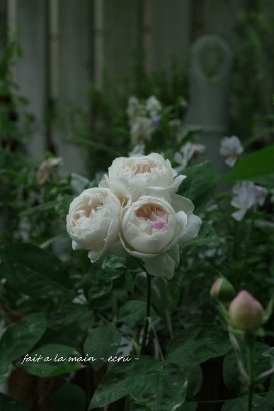 c0093830_00483257.jpg