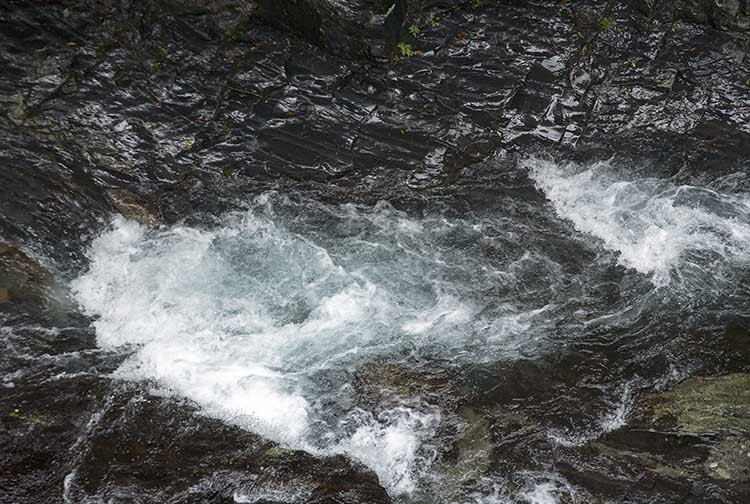 d0147530_09121014.jpg