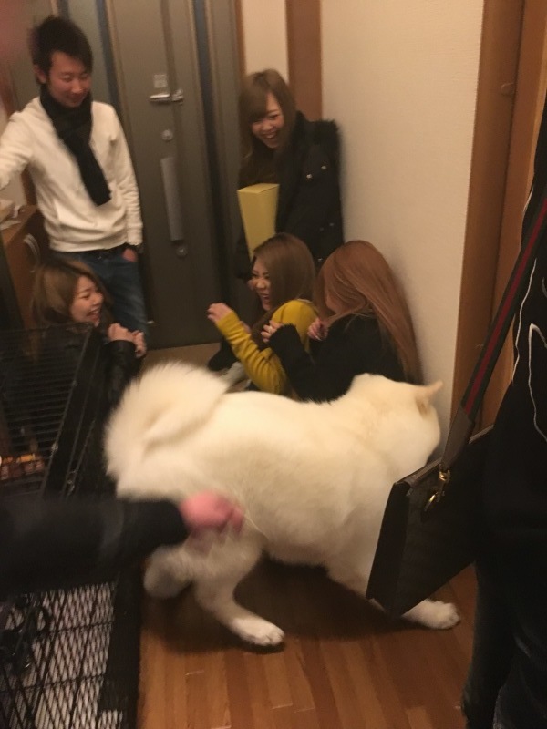 e0364035_01175344.jpeg