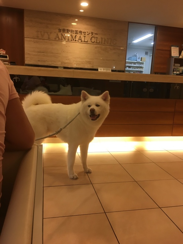 e0364035_02353389.jpeg