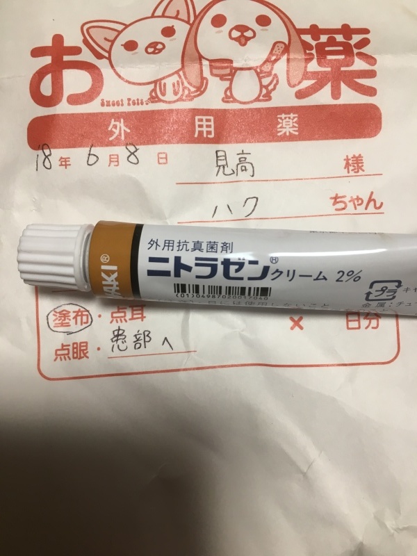 e0364035_02413232.jpeg
