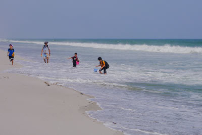 c0019338_23553657.jpg