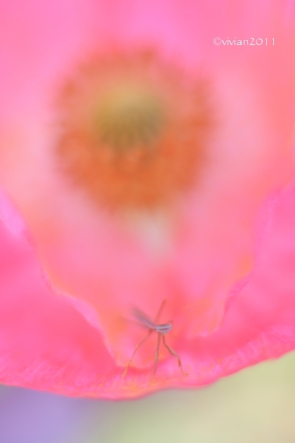 ダメ出し写真館 その30_e0227942_22364732.jpg