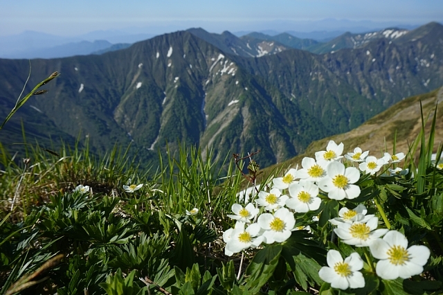 b0122448_08524009.jpg