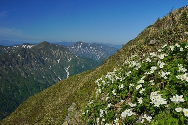 b0122448_09171123.jpg
