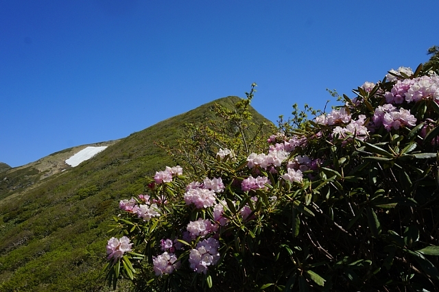 b0122448_09174138.jpg