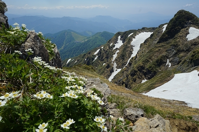 b0122448_09202540.jpg