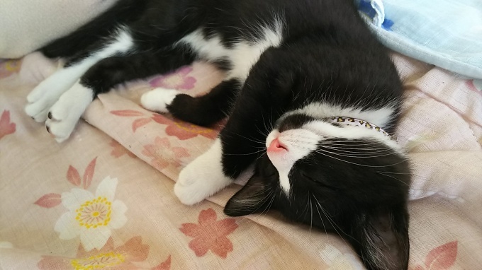 もう少しなのですが~♪_f0374160_21150278.jpg