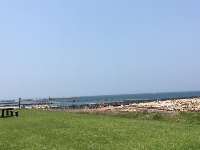 e0187064_19000953.jpeg