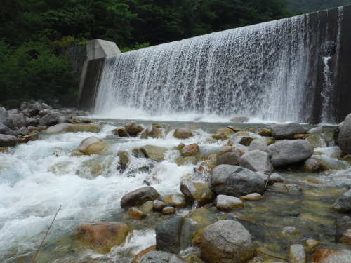 d0249266_20130844.jpg