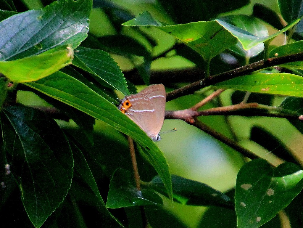 b0320769_15273592.jpg