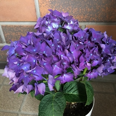 d0360171_22291412.jpg