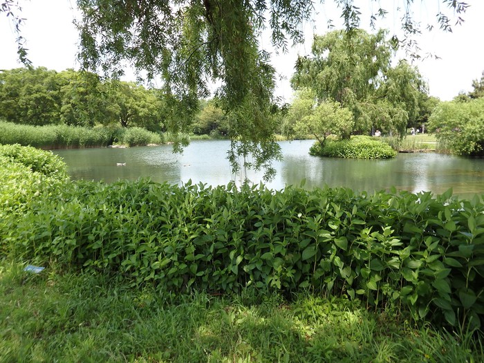 d0054276_20381662.jpg