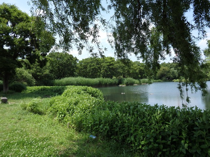d0054276_20382636.jpg