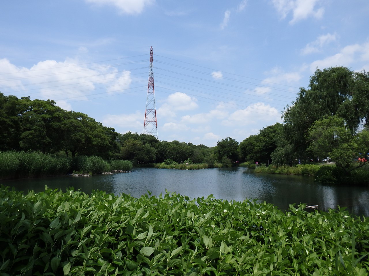 d0054276_20384574.jpg