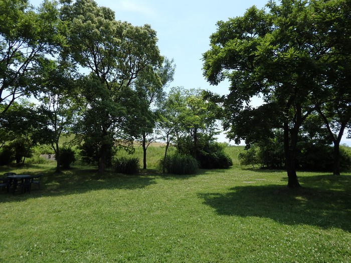 d0054276_20394784.jpg