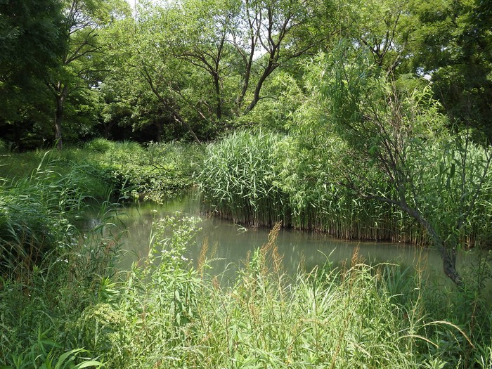 d0054276_20395639.jpg