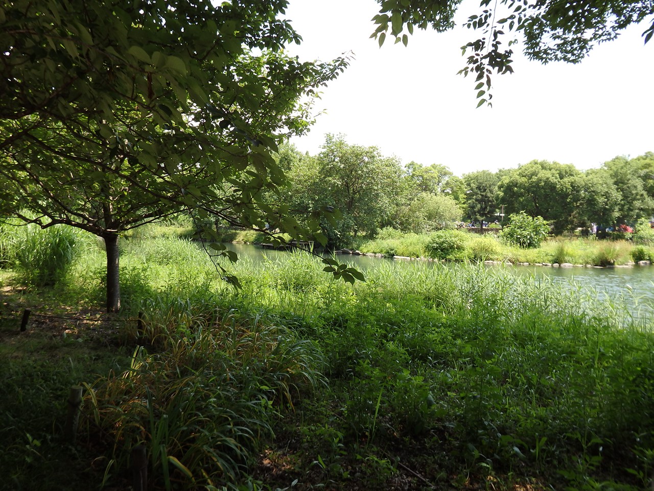 d0054276_20403491.jpg