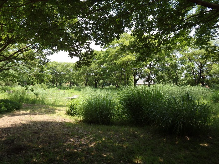 d0054276_20404377.jpg